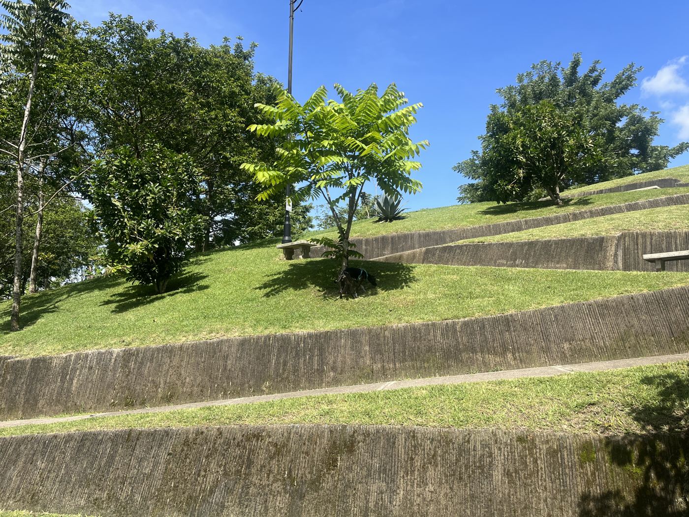 Parque en terrazas